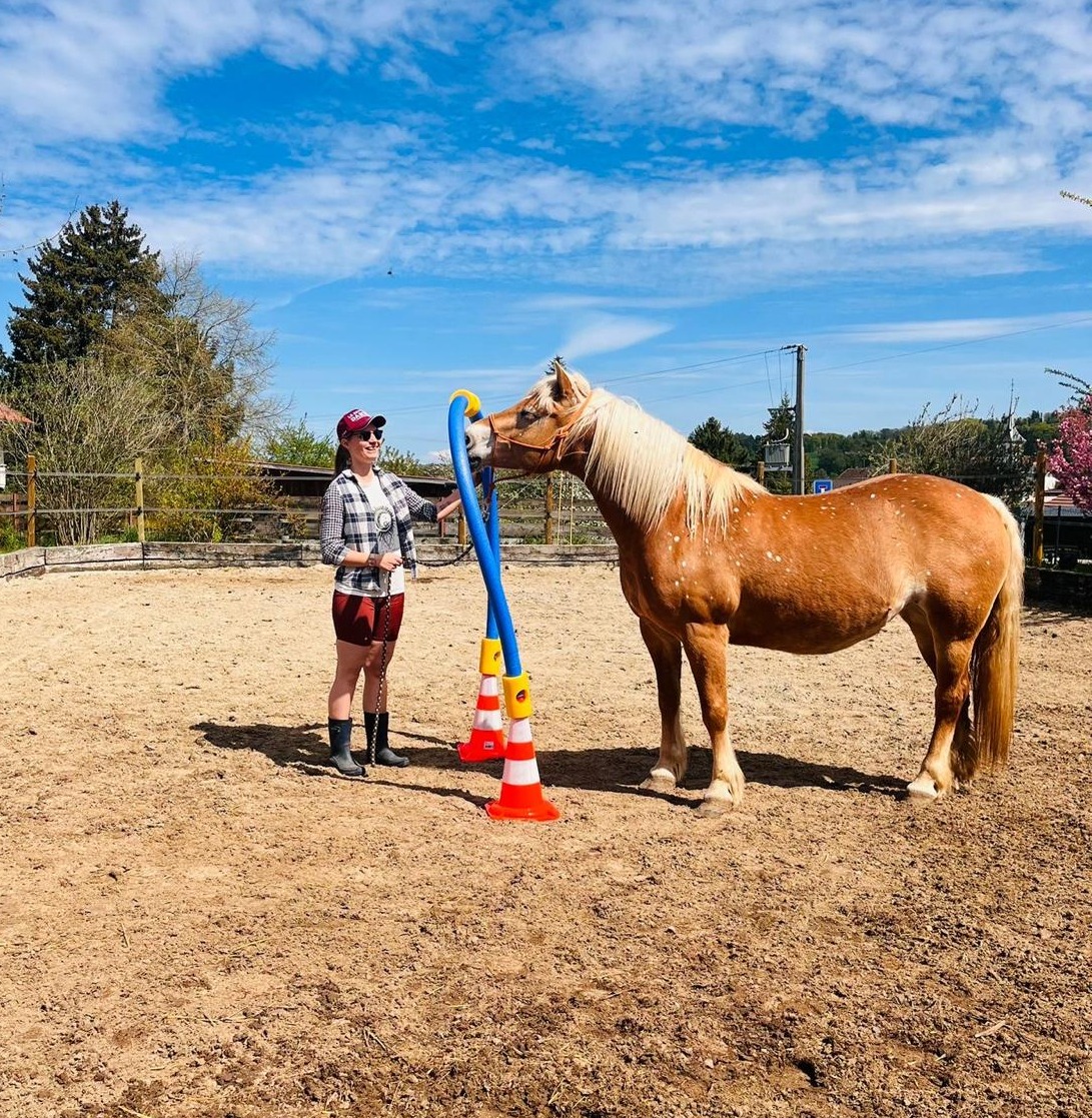 Séance d’Hippothérapie-K®